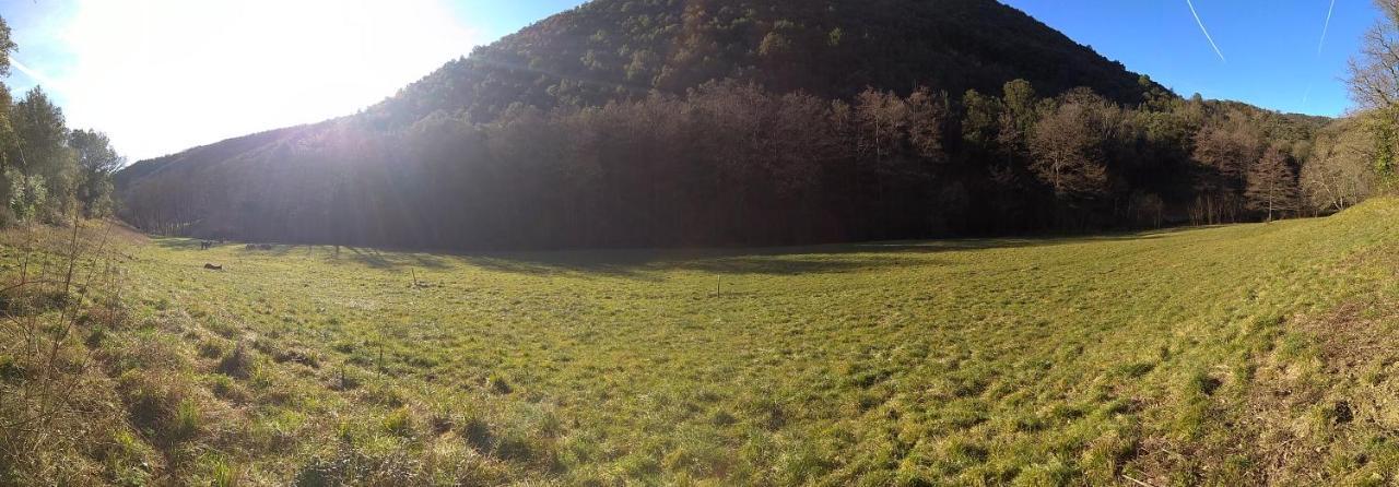 Cros  Chambre Cevennes: Piscine, Lamas, Riviere מראה חיצוני תמונה
