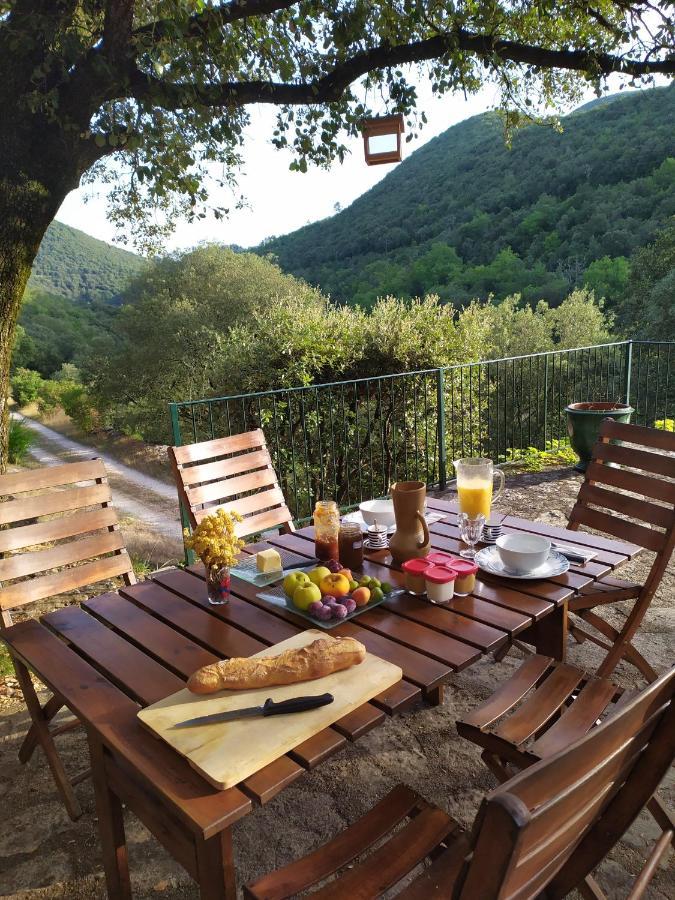 Cros  Chambre Cevennes: Piscine, Lamas, Riviere מראה חיצוני תמונה